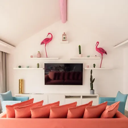 Areca By Agm *